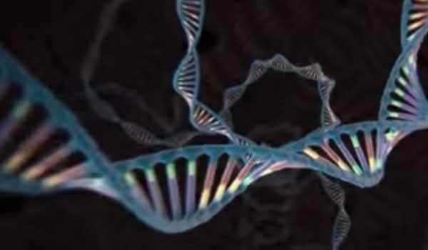 DNA has always been a challenging realm for scientists